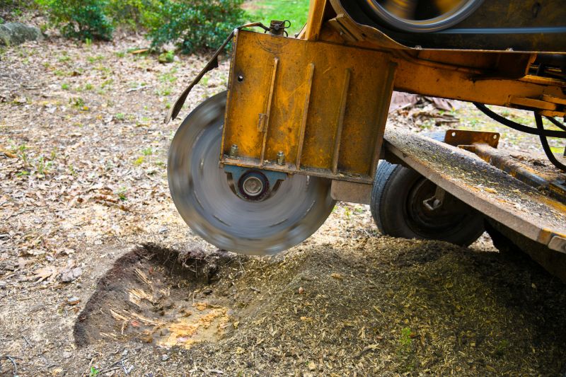 Tree Stump Grinding