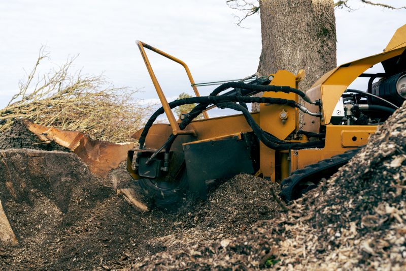 Tree Stump Grinding