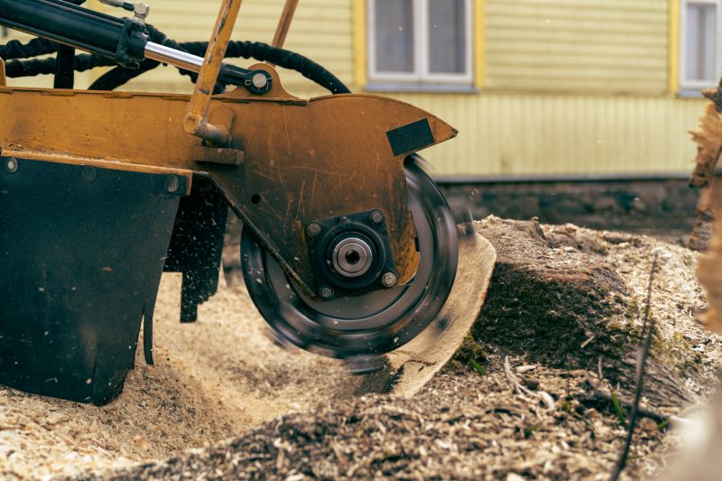 Stump Grinding Equipment in Action