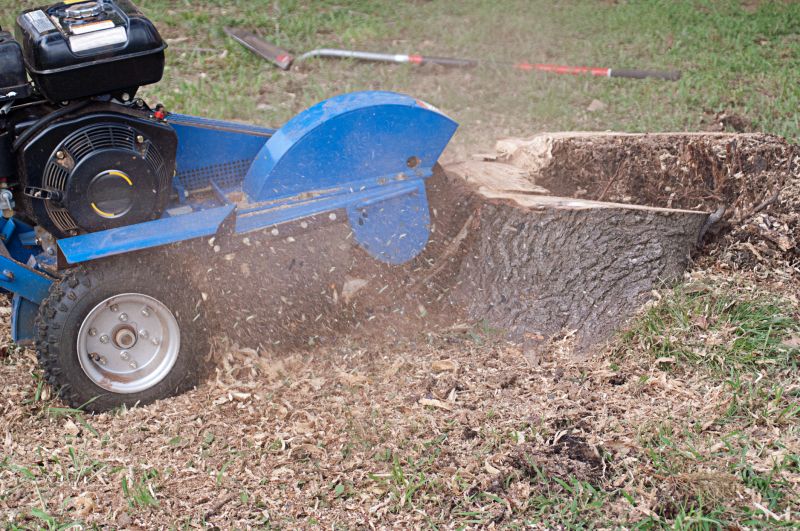 Stump Grinding in Progress