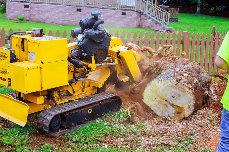 Stump Grinding Service in Prince Georges County, MD