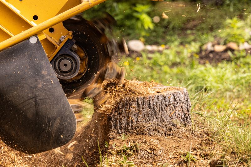 Tree Stump Grinding