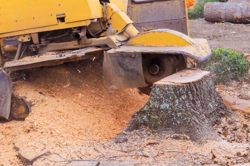 Tree Stump Grinding