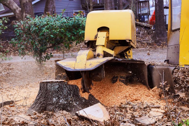 Tree Stump Grinding