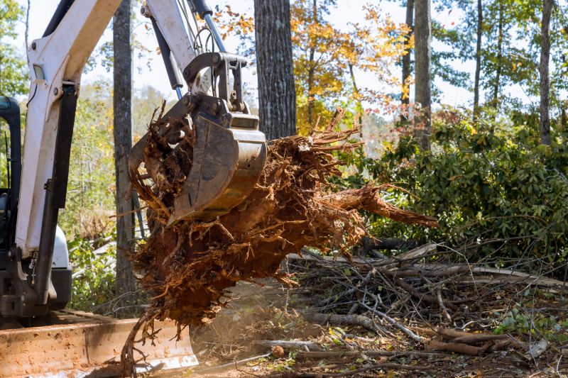 Tree Trunk Removal in Prince Georges County, MD