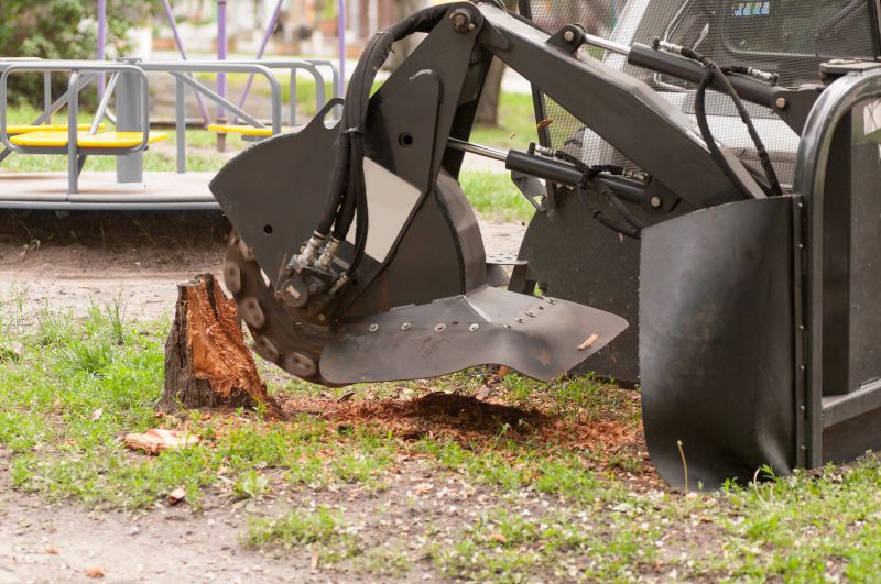 Eliminate Safety Hazards By Grinding Stumps
