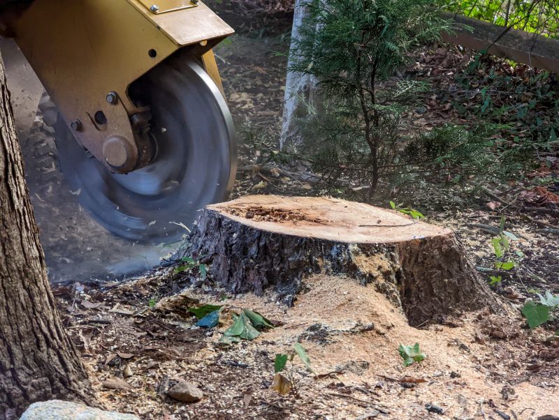 Contact About Tree Stump Grinding